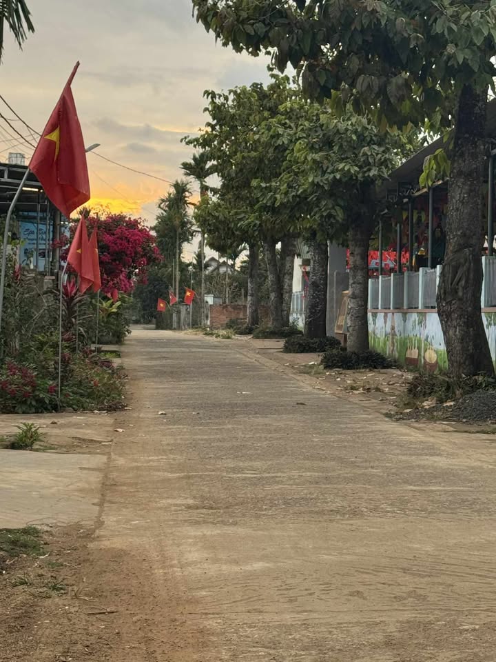 Đất nền chính chủ bán tại xã Ea Đar, huyện Ea Kar, diện tích 238m² giá 2.38 tỷ - Cơ hội đầu tư tuyệt vời!