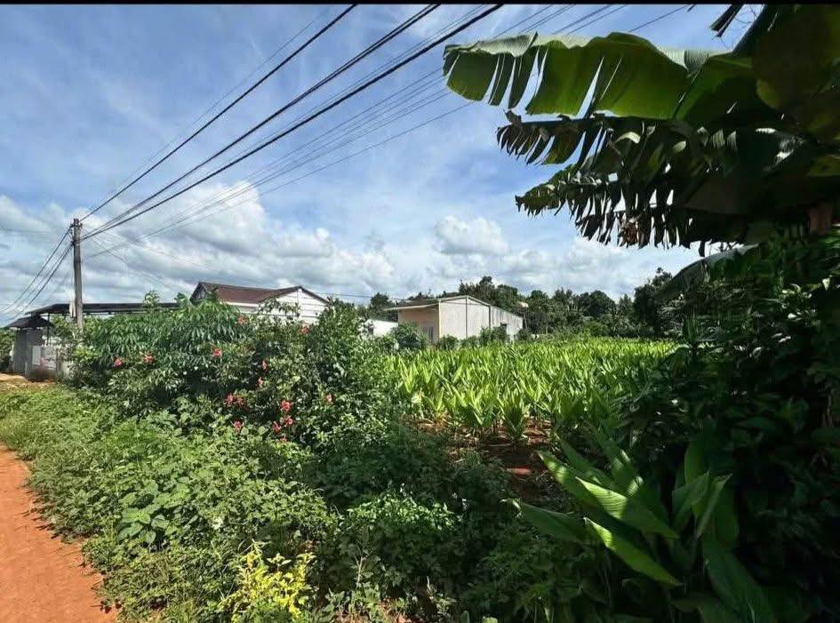 Đất nền Buôn Pan, Huyện Ea Kar, 350m² giá chỉ 1.18 tỷ - Pháp lý rõ ràng!