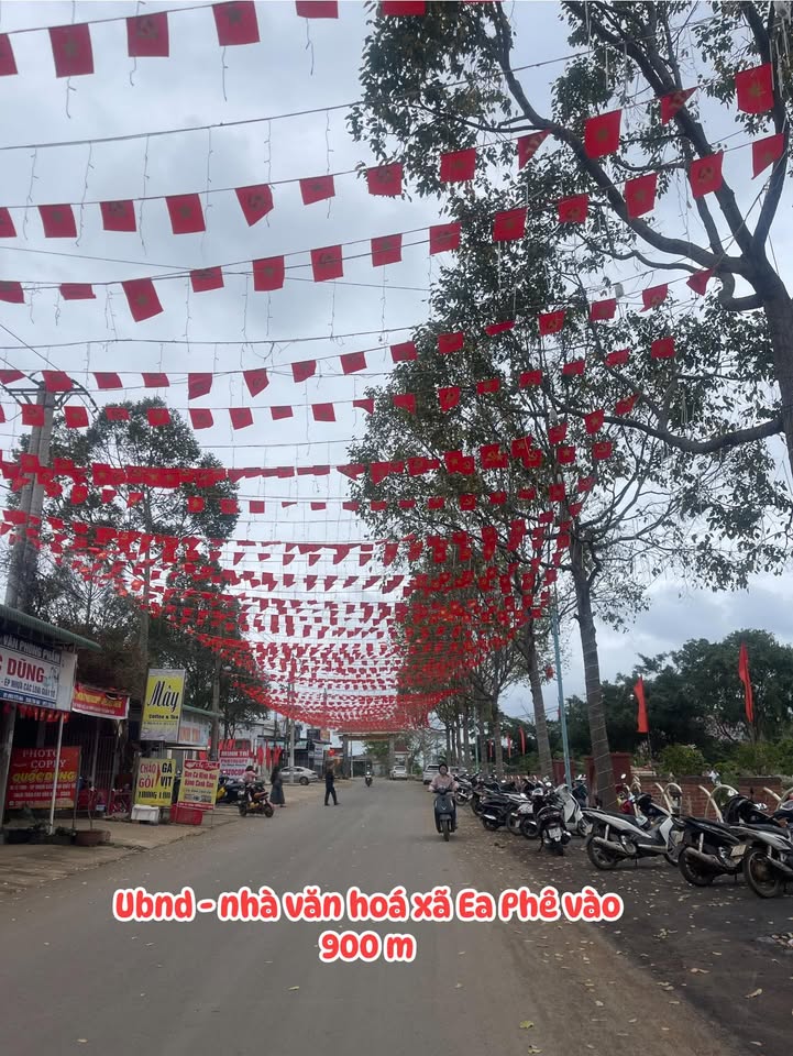 Đất nền Thôn PT1, Xã Ea Đar, Huyện Ea Kar 120m² giá 520 triệu - Đầu tư an toàn!