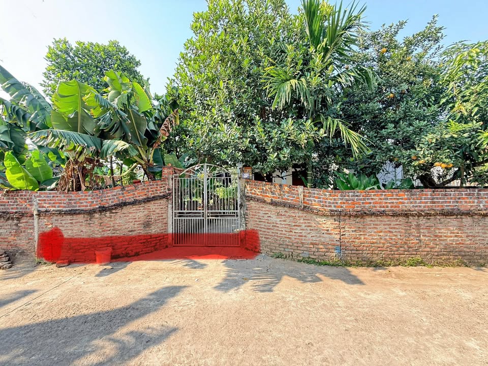 Lô đất Tân Đức – Phường Việt Trì 144m² giá 1 tỷ - Đầu tư sinh lời tốt!