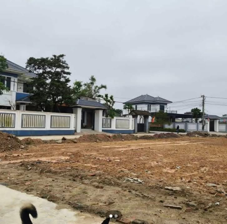 Đất nền TDP Liên Vinh - 97m² giá chỉ 1.8 tỷ - Đầu tư sinh lời ngay!