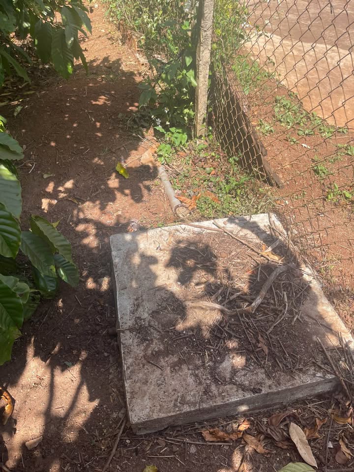 Đất Farm 1.3ha tại Huyện Tây Hòa, Phú Yên giá 5.2 tỷ - Đầu tư sinh lời ngay!