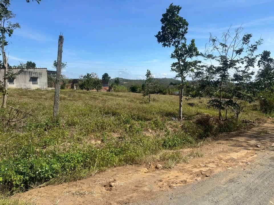 Lô đất mặt đường Thôn 2, Huyện Đông Hòa 5800m² giá 2.2 tỷ - Cơ hội đầu tư tuyệt vời!