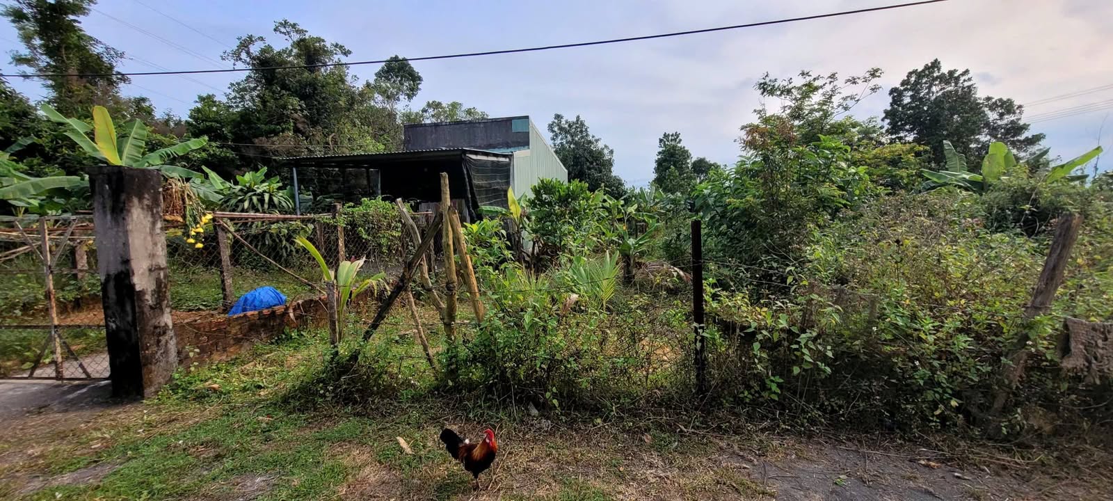 Đất nền Hòa Thọ Tây Đà Nẵng 204m² giá 2.8 tỷ - Vị trí thuận lợi, không ngập lụt!