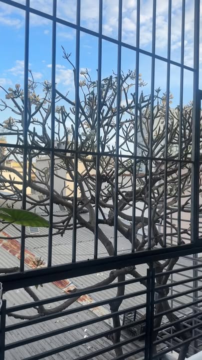 Phòng cho thuê tại Hoàng Diệu, Nha Trang 50m² - Nội thất đầy đủ, giá tốt!