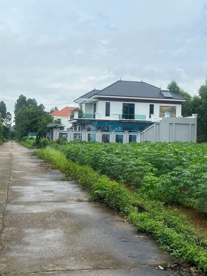 Đất nền đẹp Khu 8 Đồi Cây Đa Phú Thọ 300m² giá 3 tỷ - Cơ hội đầu tư tuyệt vời!