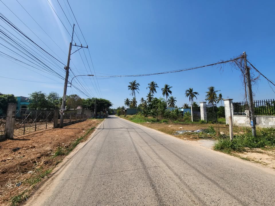 Đất nền 1000m² tại Ấp 2, Xã Cửa Cạn, Phú Quốc - Sổ đỏ chính chủ, giá 3 tỷ!