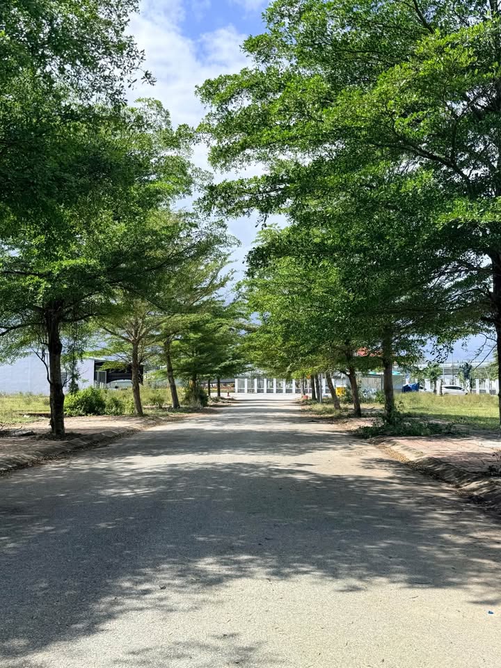 Đất nền Phú Gia Hưng, Quảng Ngãi 125m² giá 1.75 tỷ - View chùa Minh Đức đẹp mắt!