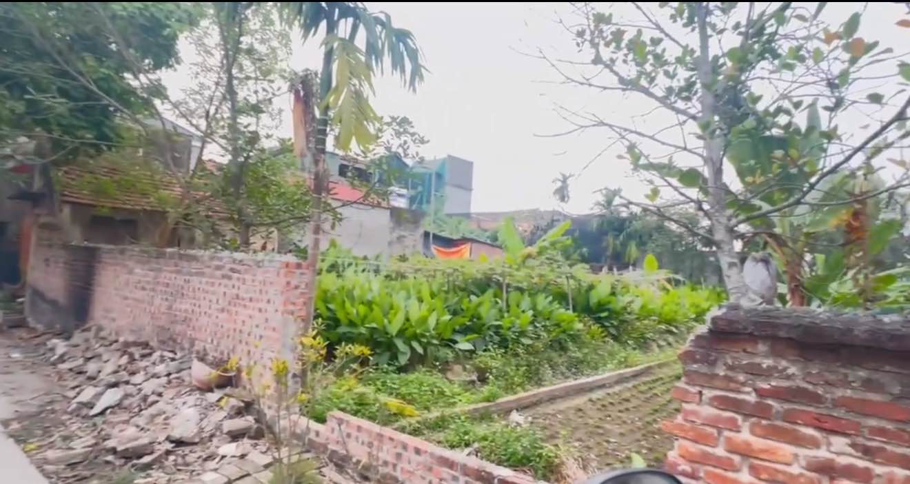 Đất nền xã Thanh Hải 100m² giá 2 tỷ - Tiềm năng đầu tư tuyệt vời!