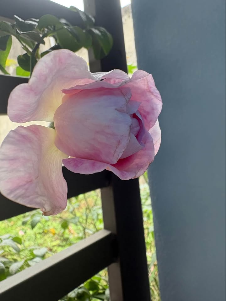 Bán đất Vạn Lộc, Hải Dương 80m² giá 13.21 tỷ - Cơ hội đầu tư tuyệt vời!