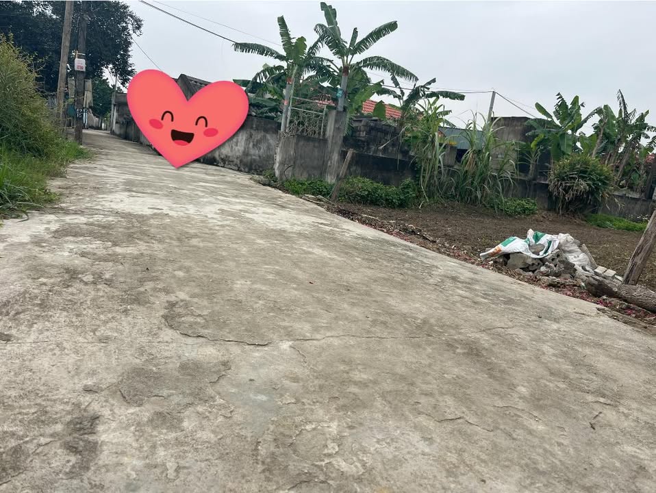 Đất thổ cư Tế Nông 125m² giá cực tốt - Cơ hội đầu tư hấp dẫn!