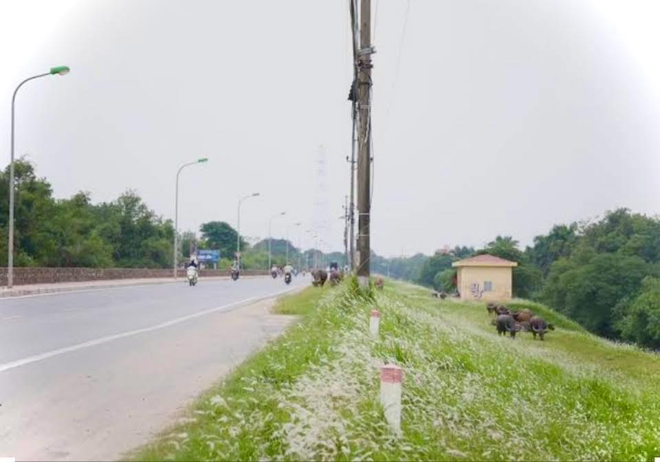 Nhà mới xây tại Liên Mạc, 35m², giá 6.1 tỷ - Thang máy, ô tô đỗ cổng!