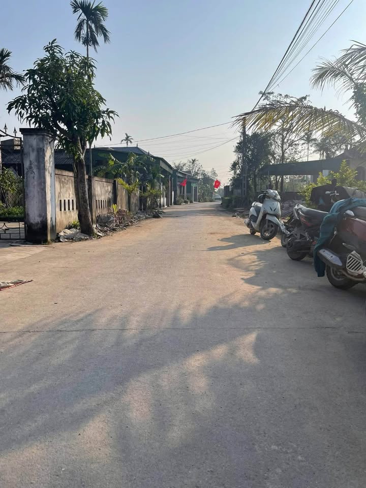 Đất nền tại Thôn Thống Nhất, Xã Thạch Đài 204m² - Cơ hội đầu tư tuyệt vời!