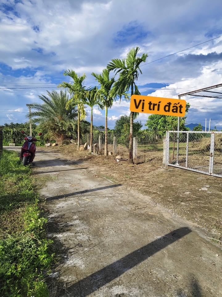 Đất thổ cư 250m² tại Xã Hàm Chính, Bình Thuận - Giá chỉ 850 triệu VND