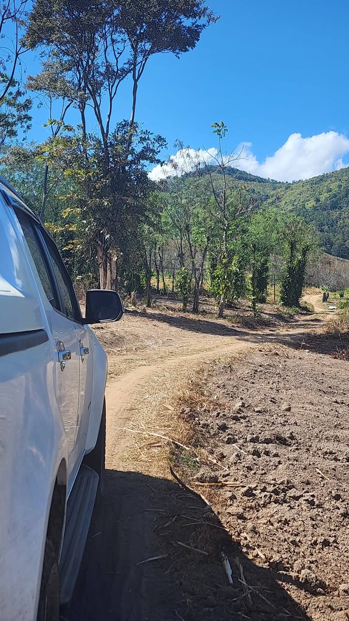 Đất rẫy tại Thôn 3, Xã Tân Lập, Huyện Kon Rẫy - 1.5ha cây cà phê và tiêu, giá 900 triệu