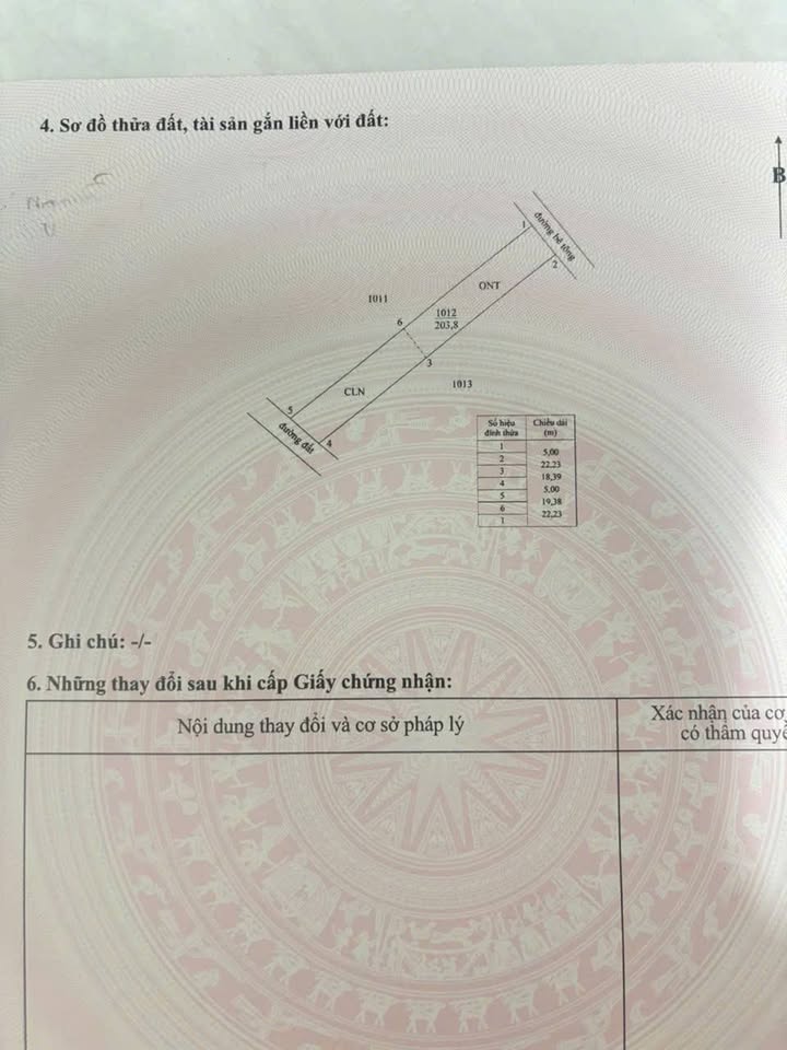 Đất nền Tân Đông Cầu Bà Trà 200m² giá 350 triệu - Đầu tư sinh lời ngay!