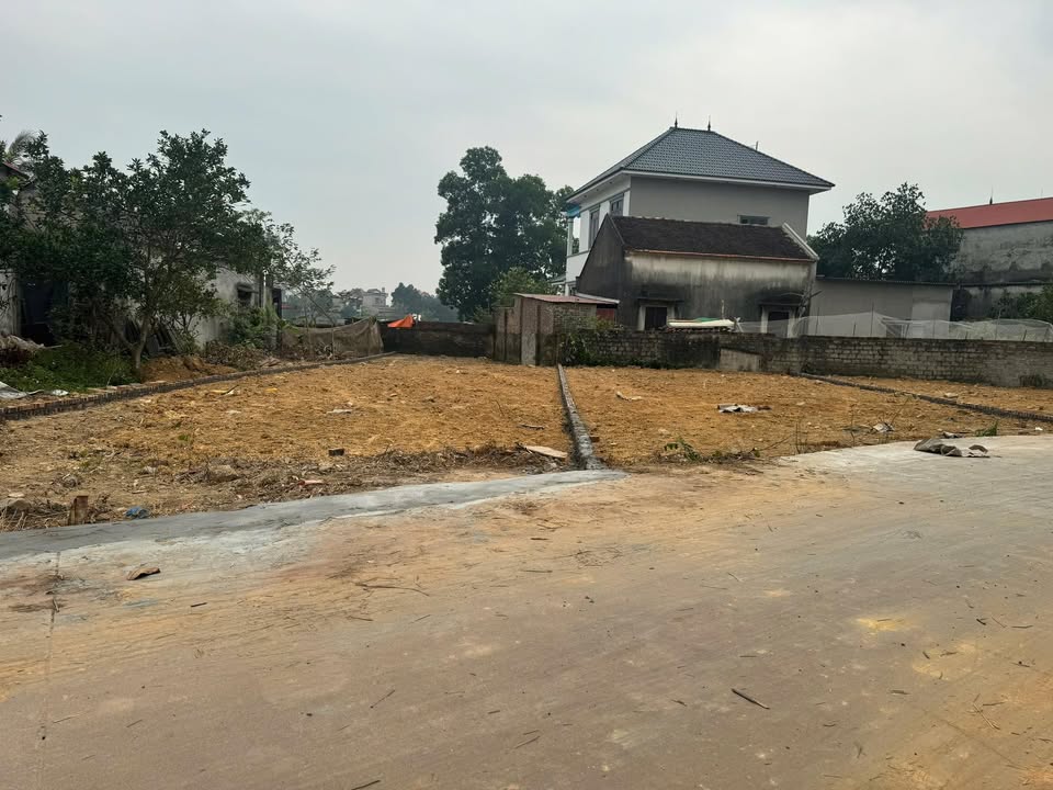 Đất nền tại Xã Cao Xá, Huyện Tân Yên, 234m² giá chỉ 800 triệu - Cơ hội đầu tư tuyệt vời!