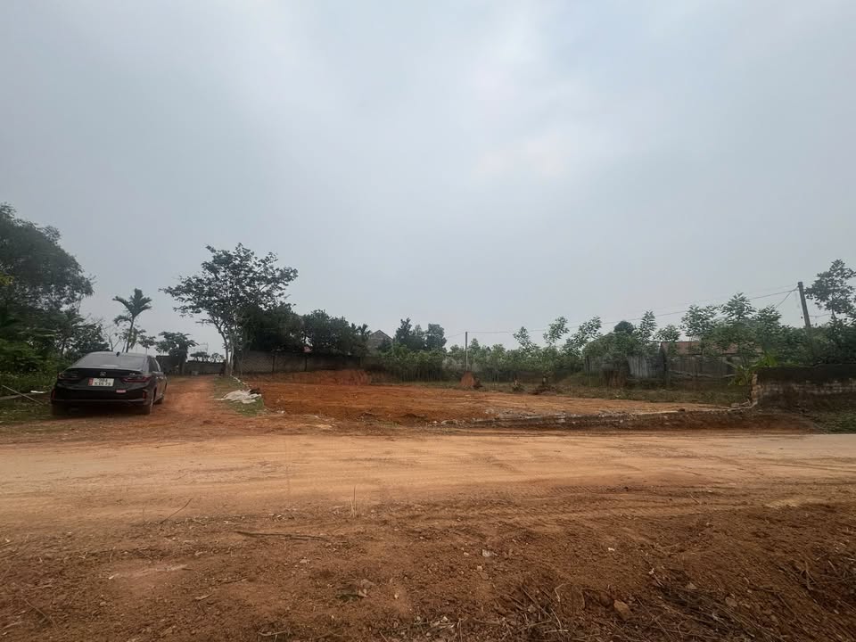 Đất nền liền kề tại Thị trấn Nhã Nam, Bắc Giang - Giá chỉ 800 triệu, cơ hội vàng đầu tư!