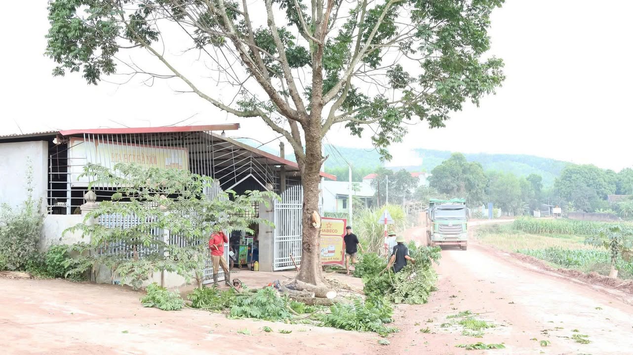 Đất mặt tiền tỉnh lộ 269B - 150m² giá chỉ 2 tỷ - Cơ hội đầu tư hiếm có!