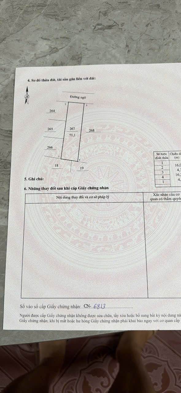 Đất nền tại Ngõ 92 Lê Đại Hành, Lạng Sơn 71m² - Vị trí đẹp, giao thông thuận tiện!