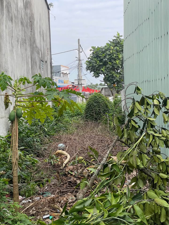 Đất nền đẹp tại Quận Hải Châu, Đà Nẵng 83.5m² giá 2.05 tỷ - Cơ hội đầu tư hấp dẫn!