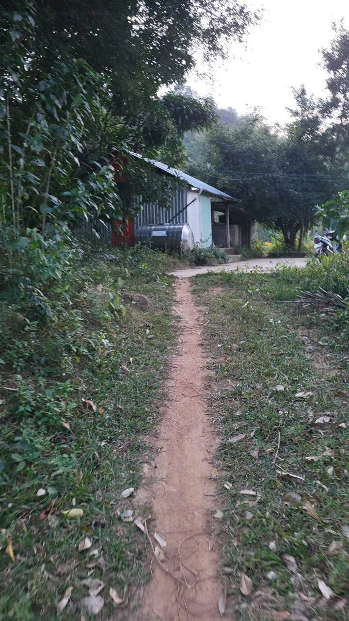 Đất Farm 2 Sào Phường Eakao TP. Buôn Ma Thuột 600 triệu - Cơ hội đầu tư hấp dẫn!