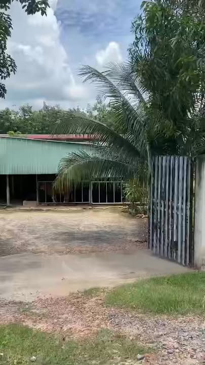 Farm cho thuê tại Hưng Thuận, Trảng Bàng, Tây Ninh 20.000m² - Khuôn viên rộng rãi, 3 mặt tiền