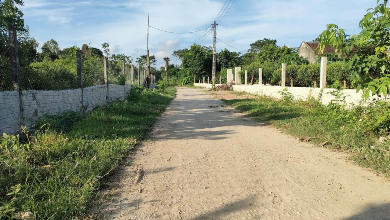 Đất chính chủ Thôn Đại Vàng, Triệu Sơn 116m² giá chỉ 300 triệu - Cơ hội đầu tư tuyệt vời!