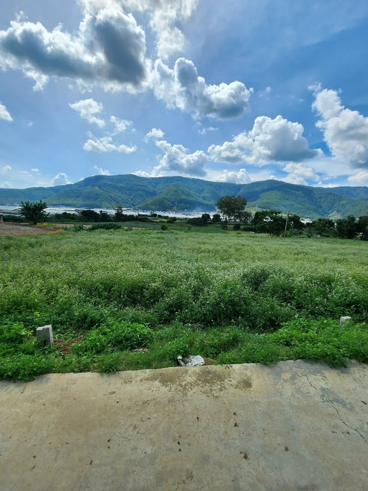 Đất nền Lạc Xuân, Đơn Dương 300m² giá 579 triệu - Đầu tư sinh lời ngay!