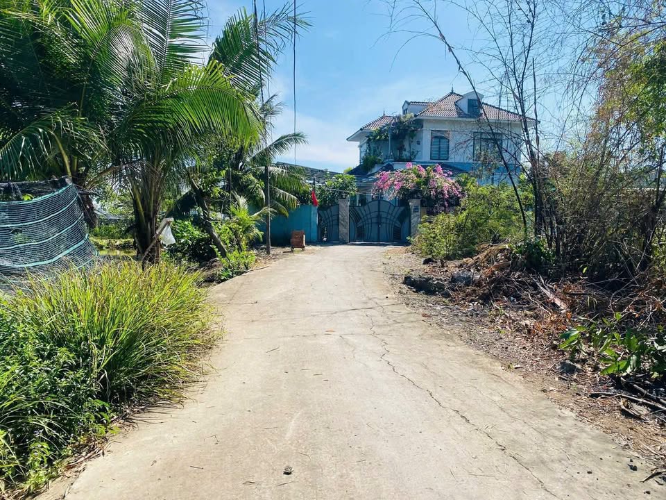 Đất thổ cư đường Petong, xã Phước Lâm, Cần Giuộc 86m² giá 6 tỷ - Chính chủ bán gấp!