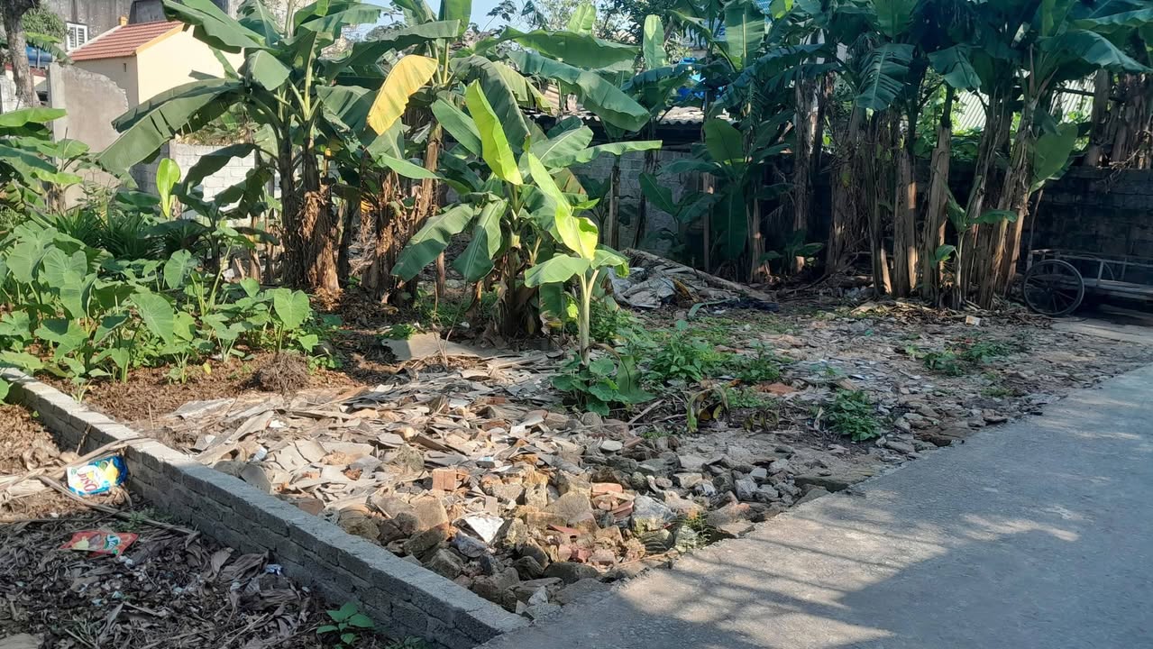 Đất nền tại Ngõ 65 Lê Viết Thuật, Hưng Lộc 106m² giá 2,6 tỷ - Khu dân cư yên tĩnh!