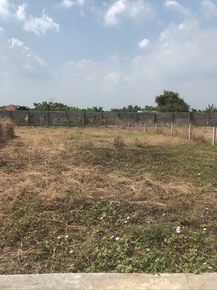 Đất nền Đinh Đức Thiện, Bình Chánh 300m² giá 2.45 tỷ - Tiềm năng đầu tư sinh lời cao!