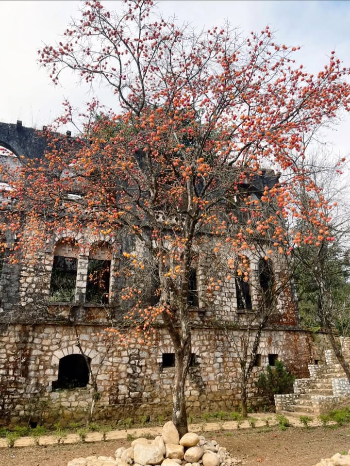 Đất thổ cư Hàm Rồng, Sa Pa 300m² giá 6.35 tỷ - Đầu tư sinh lời tuyệt vời!