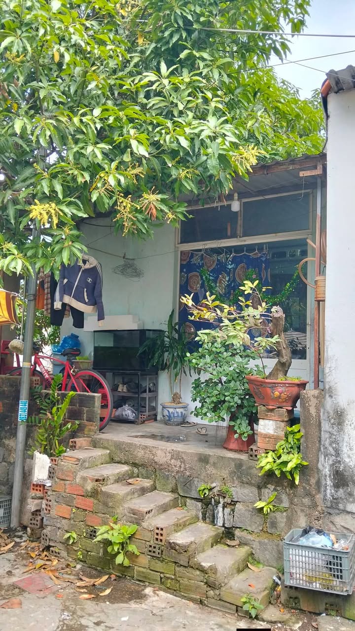 Đất nền Hẻm Cạn Thành Thái, 40m² giá 1 tỷ - Cơ hội đầu tư hấp dẫn!