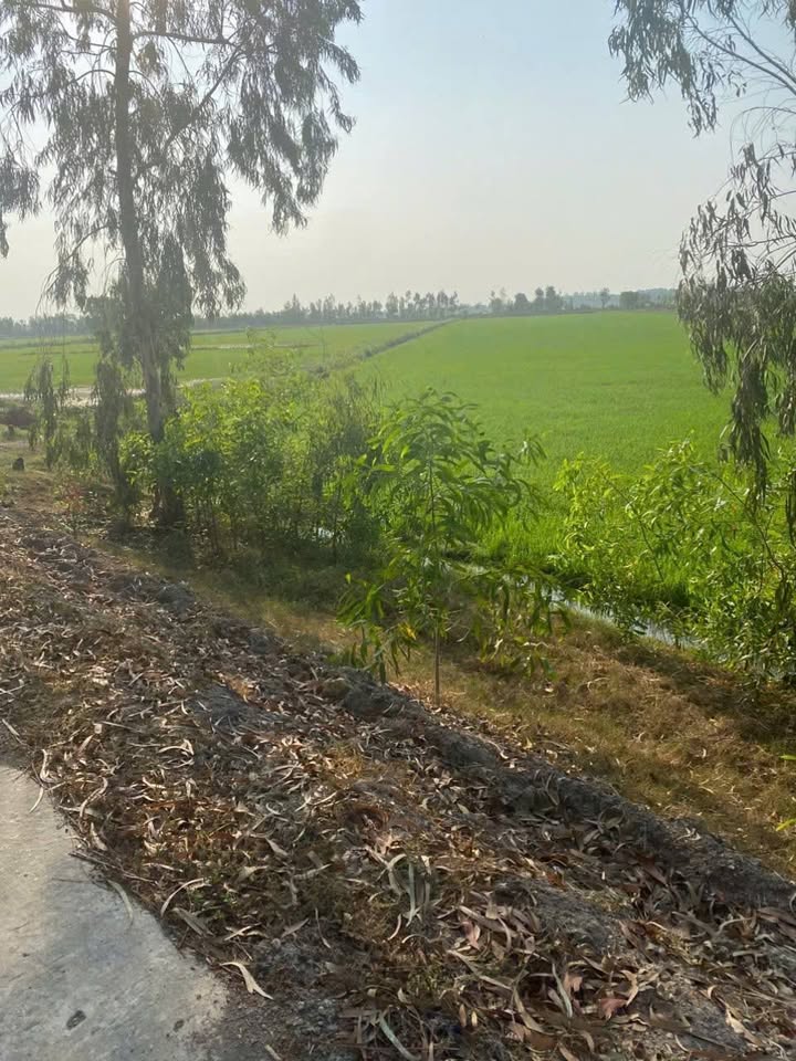 Đất nền Giang Thành, Kiên Lương 23.000m² giá 1.955 tỷ - Cơ hội đầu tư lý tưởng!