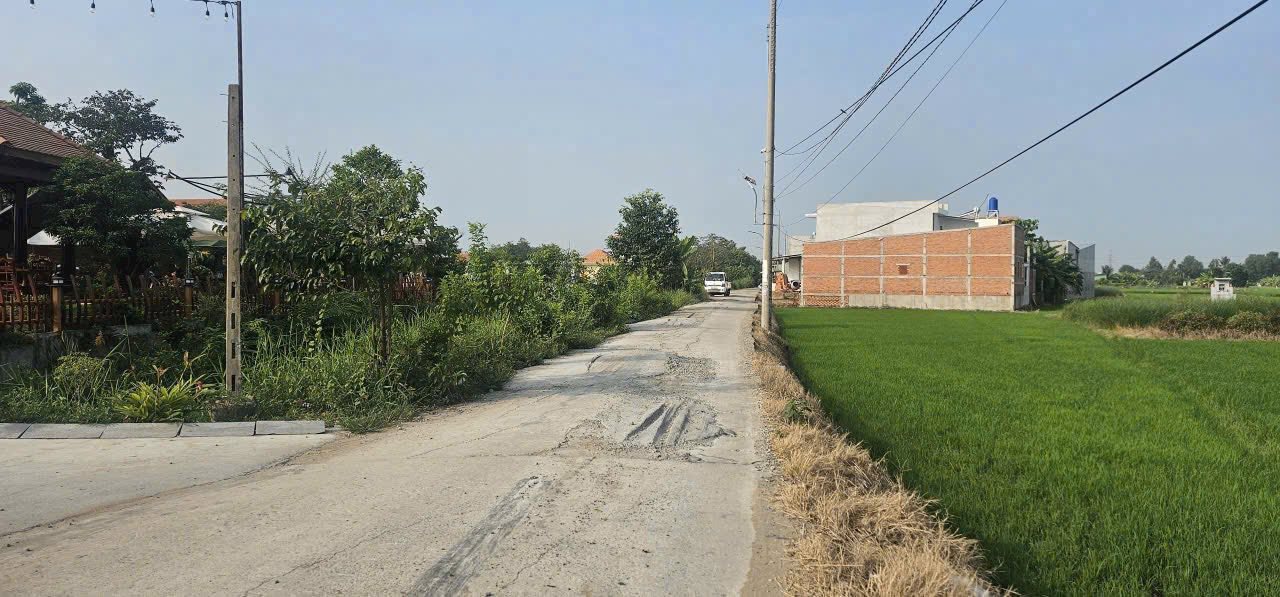 Đất thổ cư 195m² mặt tiền Long Định - Cần Đước - Giá 1.68 tỷ - Đầu tư sinh lời!