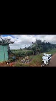 Đất nền 460m² tại Đắk Song giá 900 triệu - Cơ hội đầu tư tuyệt vời!