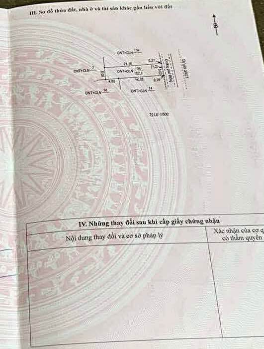 Đất nền Bảo Ninh 105m² giá 1.8 tỷ - Vị trí đắc địa, tiện ích đầy đủ!