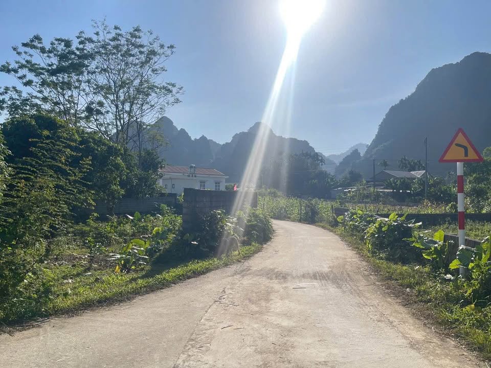 Đất thổ cư Cao Dương 1300m² giá 900 triệu - Đầu tư sinh lời hấp dẫn!