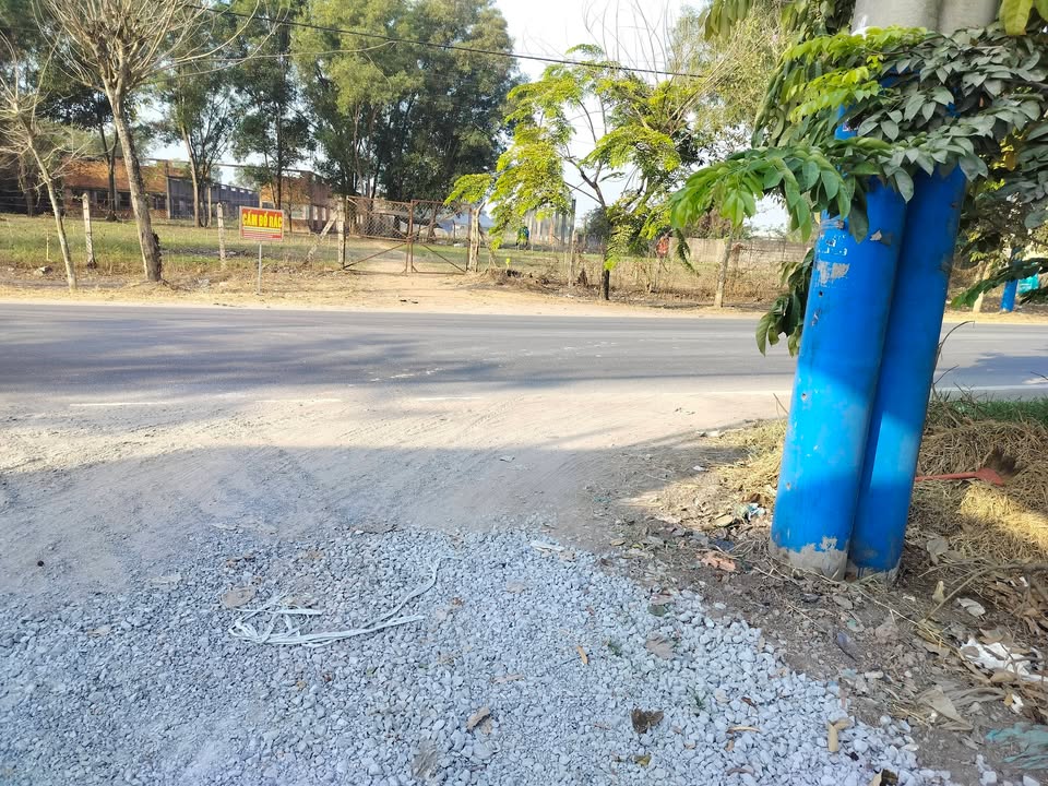 Đất nền Tân Phú Trung 175m² giá 2.65 tỷ - Cơ hội đầu tư hấp dẫn!