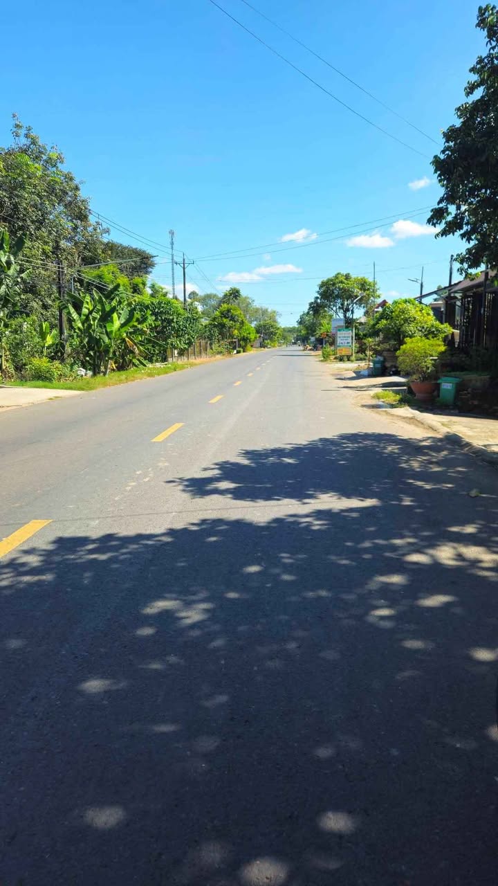 Đất nền 8ha tại Đồng Xoài Bình Phước, giá 4 tỷ - Cơ hội đầu tư hấp dẫn!