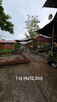 Đất nền bờ kè Cái Sơn, An Bình 50m² giá 900 triệu - Cần bán gấp!