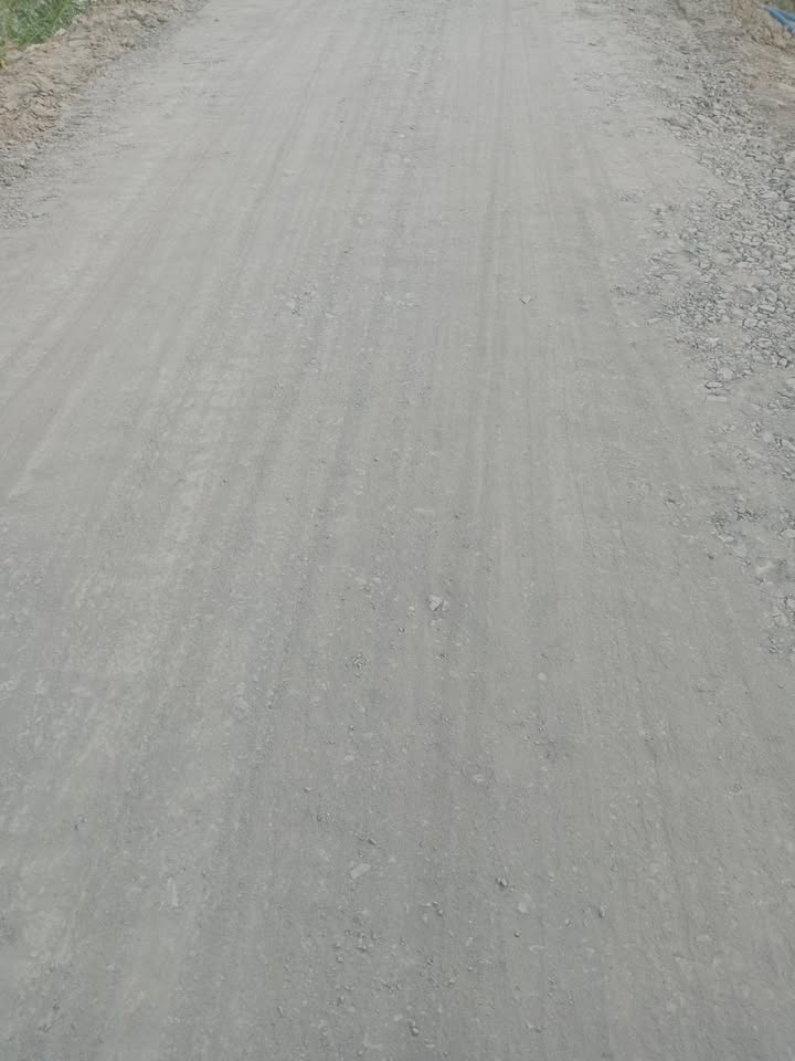 Farm cho thuê tại Xã Phú Điền, Huyện Tháp Mười, 15000m² - Giá chỉ 90 triệu/năm!