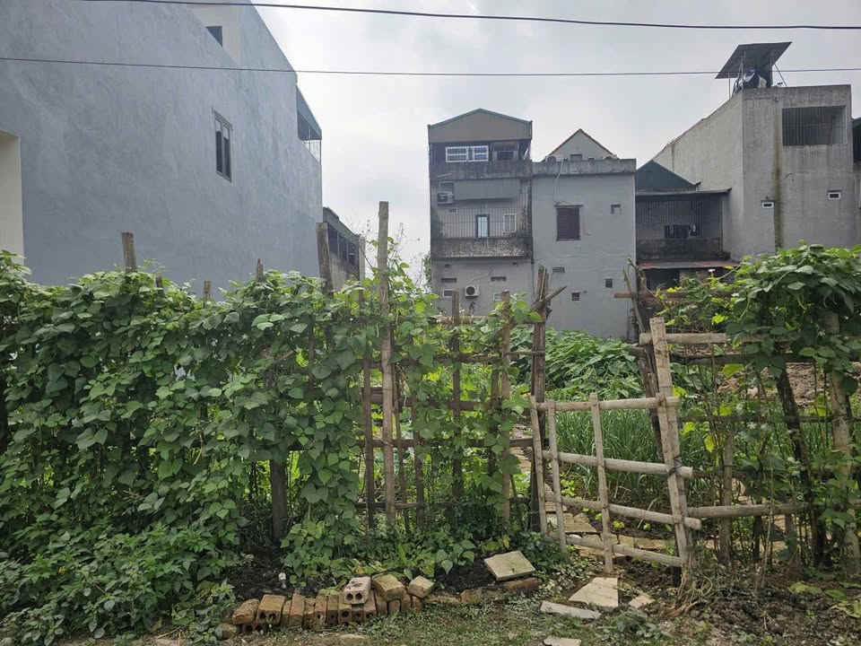 Đất nền 96m² phường Đông Vệ, giá thỏa thuận - Sổ hồng chính chủ