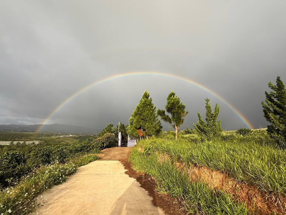 Đất nền Ninh Gia, Đức Trọng 1075.5m² giá 2.7 tỷ - View đẹp tiềm năng du lịch