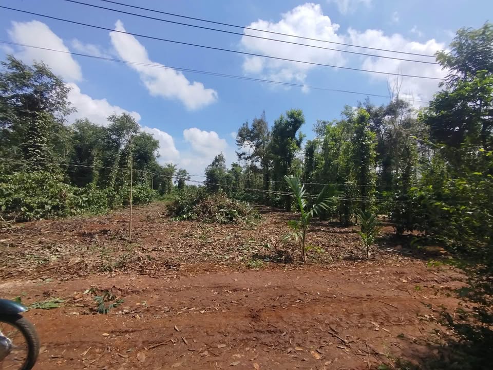 Lô đất xã Ea Ktur, huyện Cư Kuin 200m² giá 430 triệu - Cơ hội đầu tư hấp dẫn!