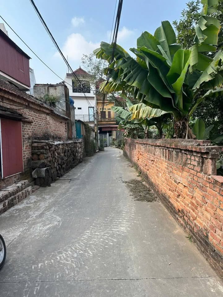 Đất thổ cư 75m² Khu Phố Đức Hiệp, Thuận Thành - Giá tốt, thương lượng nhanh!