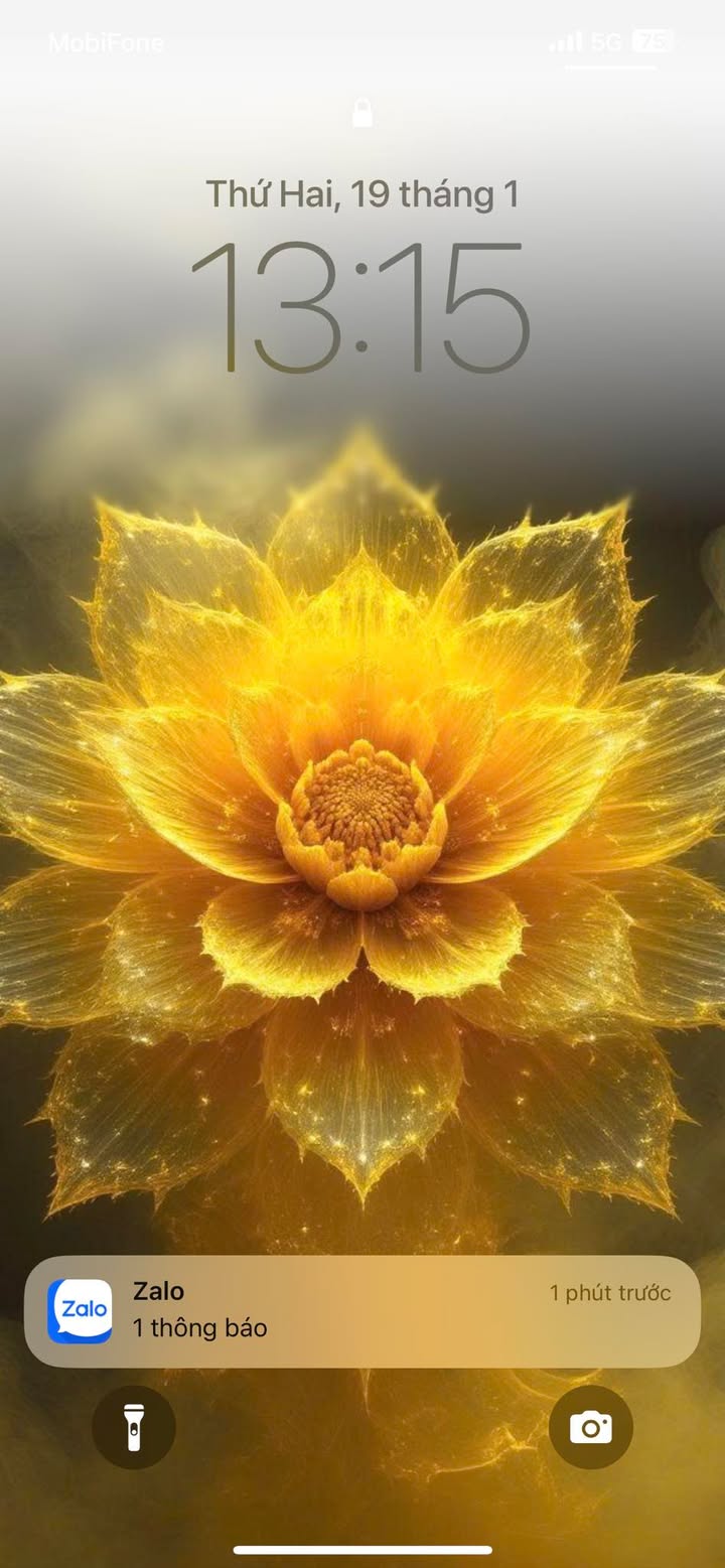 Đất Hợp Tác Xã Mặt Tiền Hồng Hà, Phú Nhuận 1000m² - Cơ Hội Đầu Tư Hiếm Có!