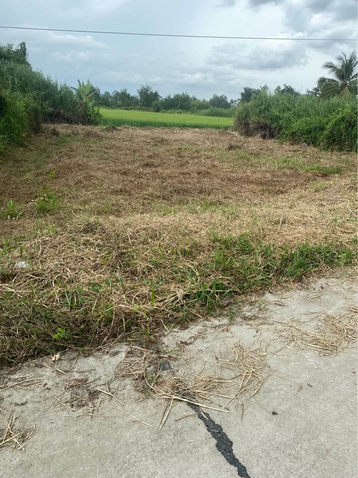 Đất nền 972m² tại Ấp An Thới, Phú Quốc - Tiềm năng đầu tư cao