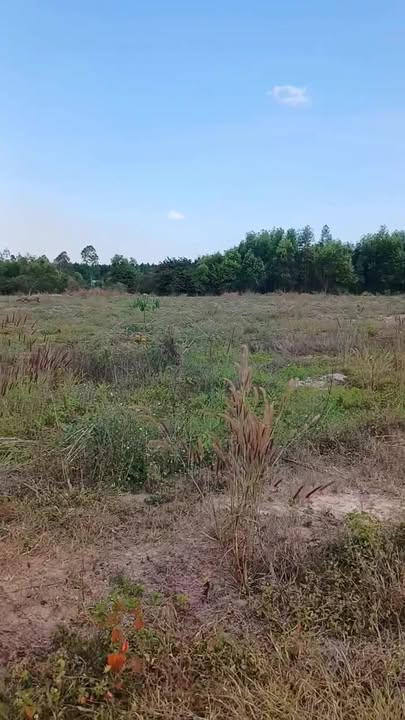 Đất nền Xã Tân Lâm, Huyện Xuyên Mộc 1082m² giá 540 triệu - Cơ hội đầu tư hấp dẫn!